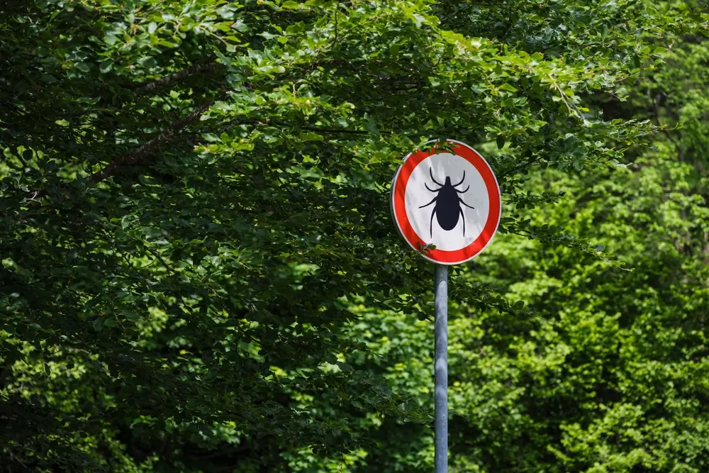 Stop klíšťatům.