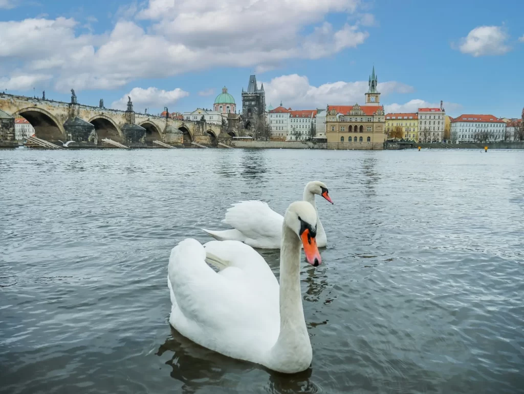 Shutterstock_2454142407 - SportDeník Spousta lidí má problém vyjmenovat pouhých pět známých českých řek.