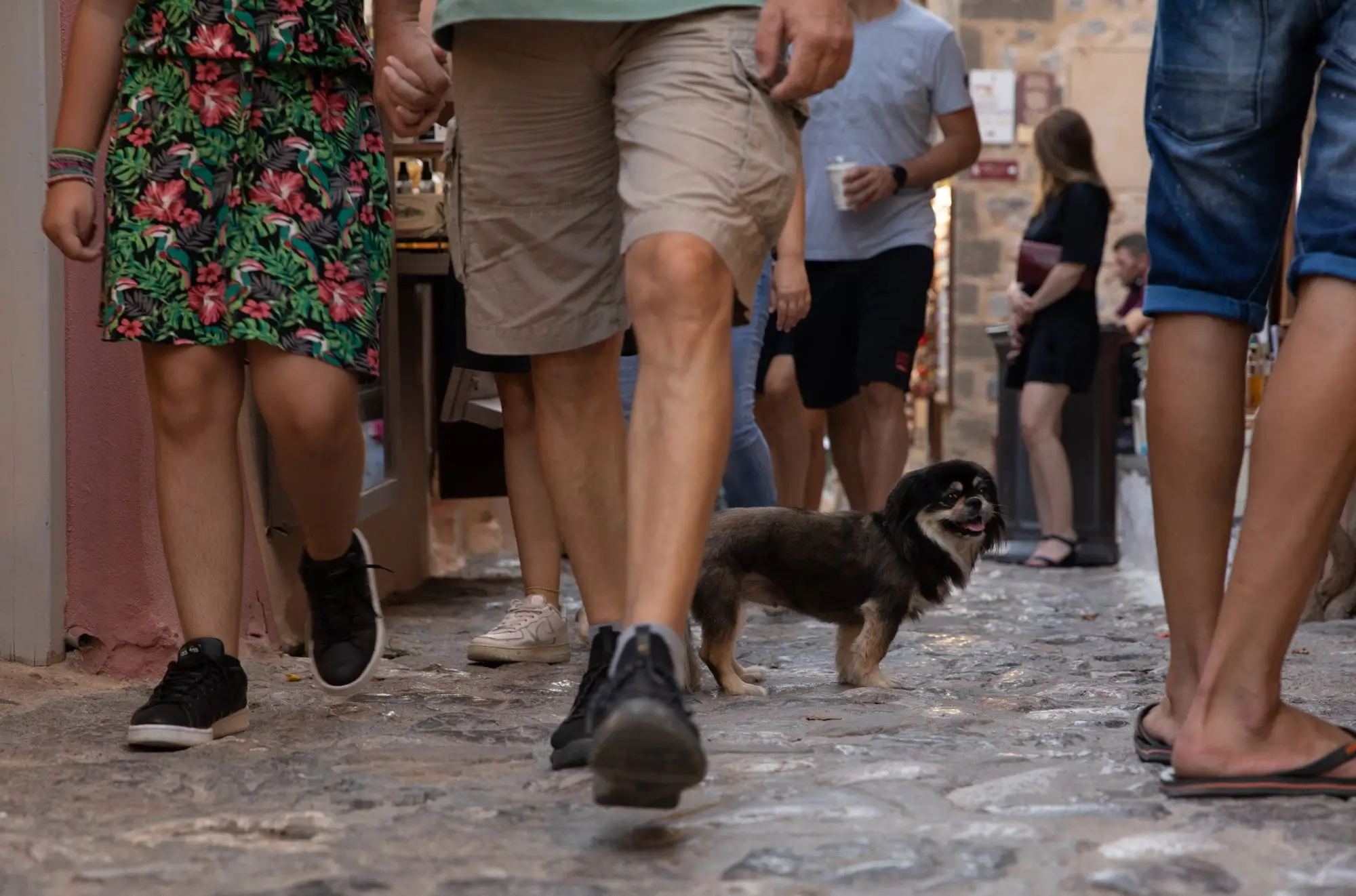 shutterstock_2320923861 - SportDeník davy turistů