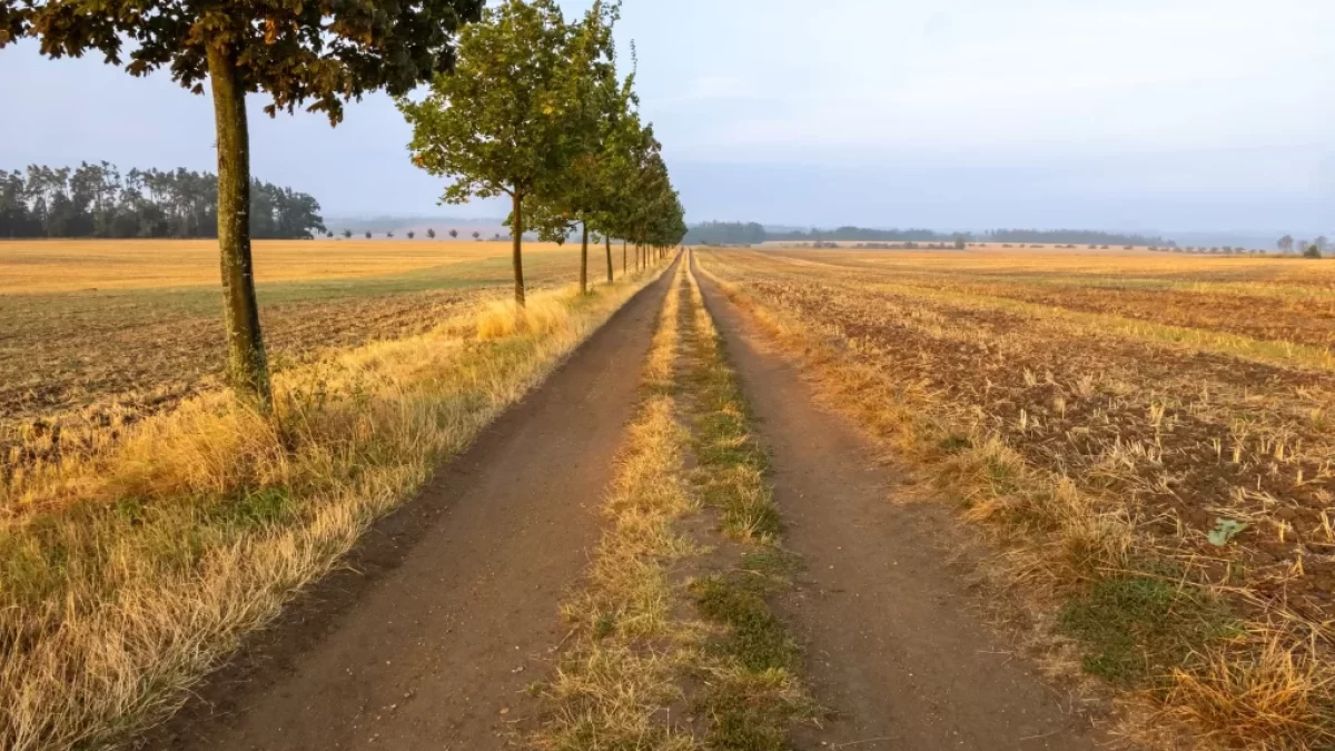 počasí v Česku