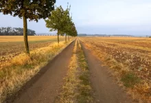 počasí v Česku