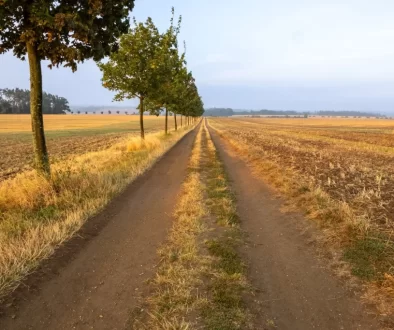 počasí v Česku