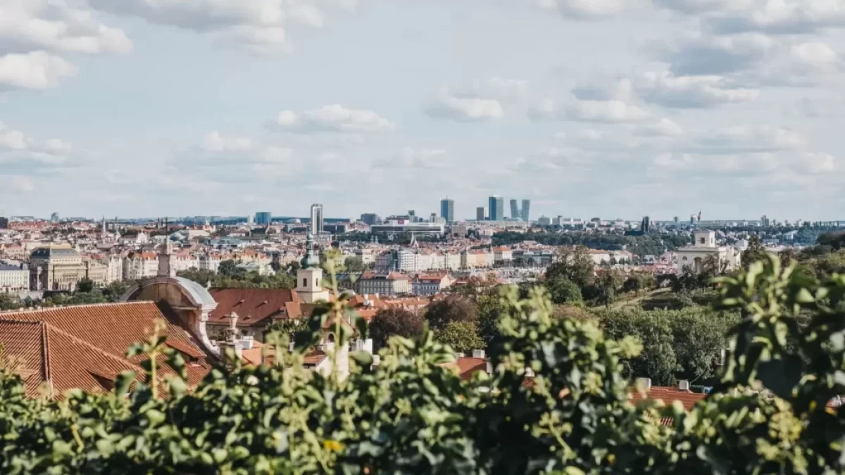 Výhled na město