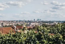 Výhled na město