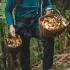 Houbaření je oblíbenou zálibou mnoha Čechů, často ale může dojít k záměněn