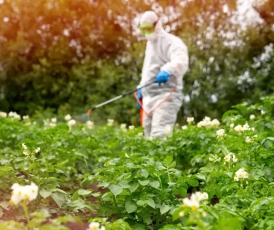 Zahradník v ochranném obleku stříkající pesticidy na zahradě