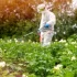 Zahradník v ochranném obleku stříkající pesticidy na zahradě