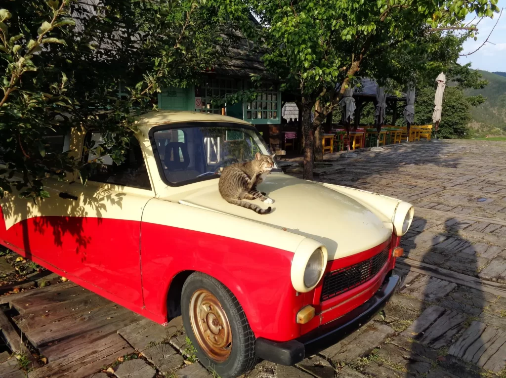 Shutterstock_2472147465 - SportDeník Možná vám starý Trabant zbytečně rezne na zahadě, a přitom vám může vydělat spoustu peněz.