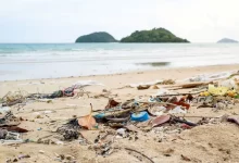 pláž plná odpadků