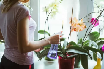 žena zalévá orchideje