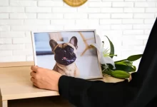 paní si dává na poličku obrázek pejska