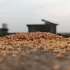 zdraví