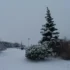 zasněžená krajina