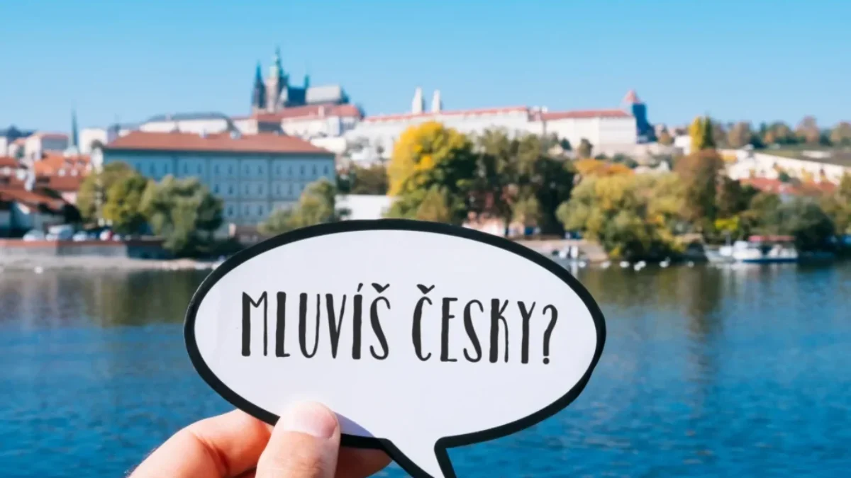 Otázka: „Mluvíš česky?"