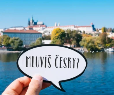 Otázka: „Mluvíš česky?"