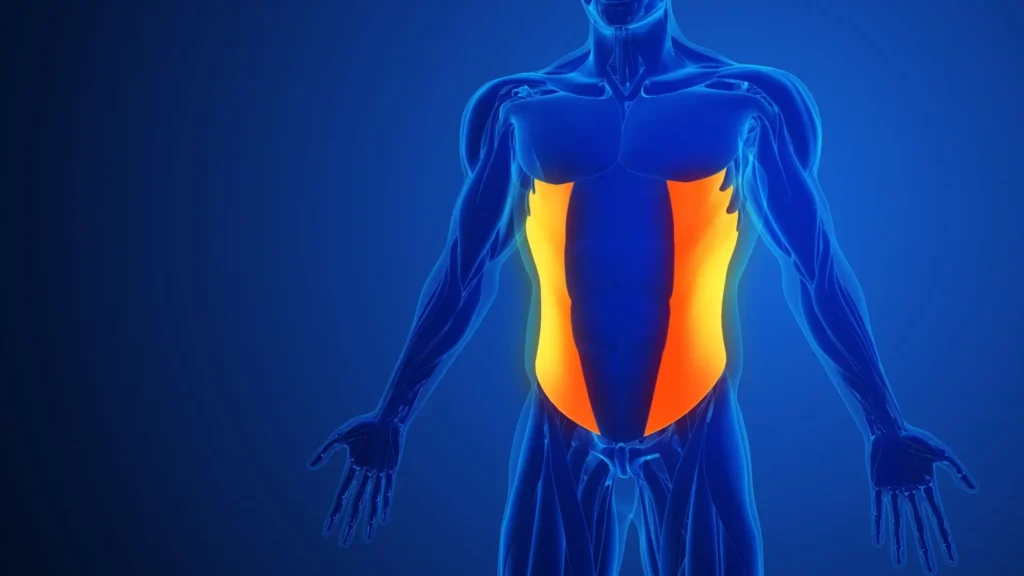 - SportDeník Anatomické znázornění středu těla.