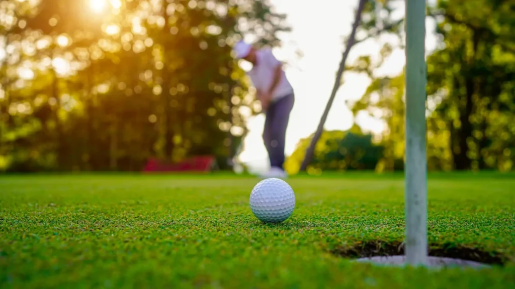 - SportDeník golf