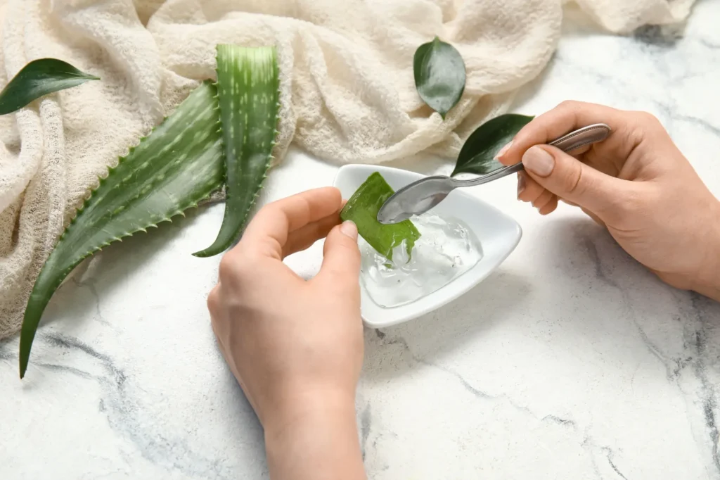 Získávání čerstvého gelu z listu aloe vera do misky.