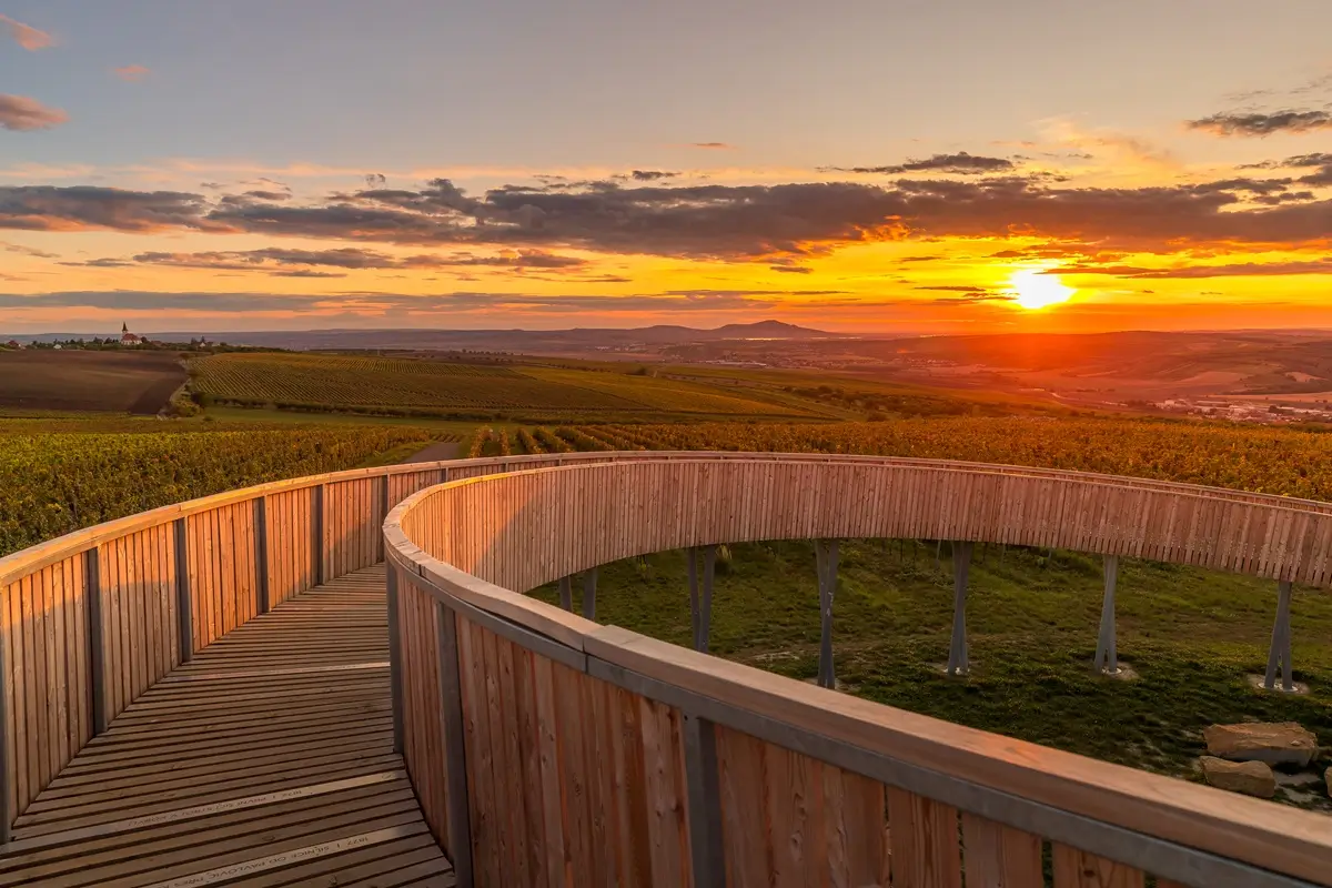 Rozhledna Kobylí vrch na Břeclavsku je bezesporu jednou z nejkrásnějších u nás. Spirálovitě se točí nad vinicemi nad obcemi Kobylí, Vrbice a Čejkovice. Zdroj: Shutterstock - SportDeník Rozhledna Kobylí vrch na Břeclavsku při západu slunce nad tamními vinicemi