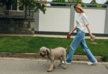 žena se prochází se psem po ulici