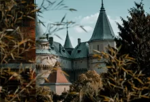 historický zámek schovaný za stromy