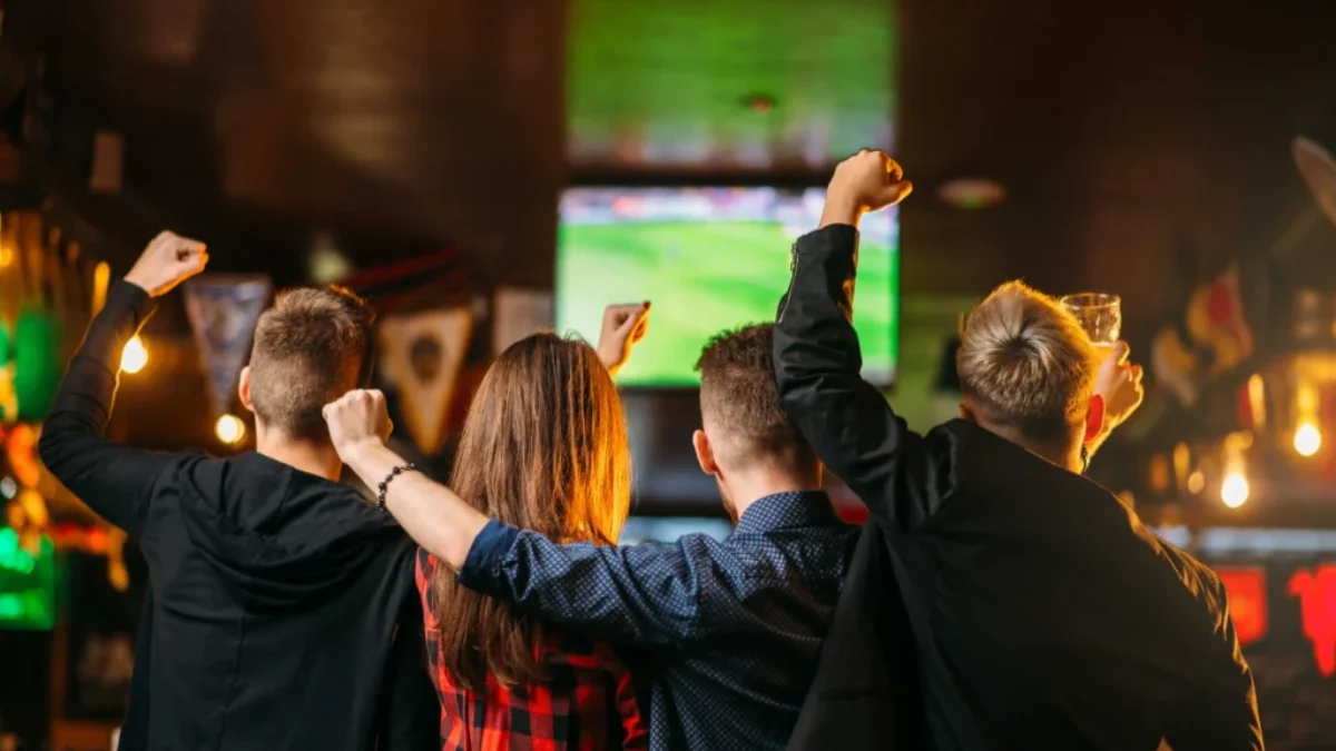 fanoušci sportu