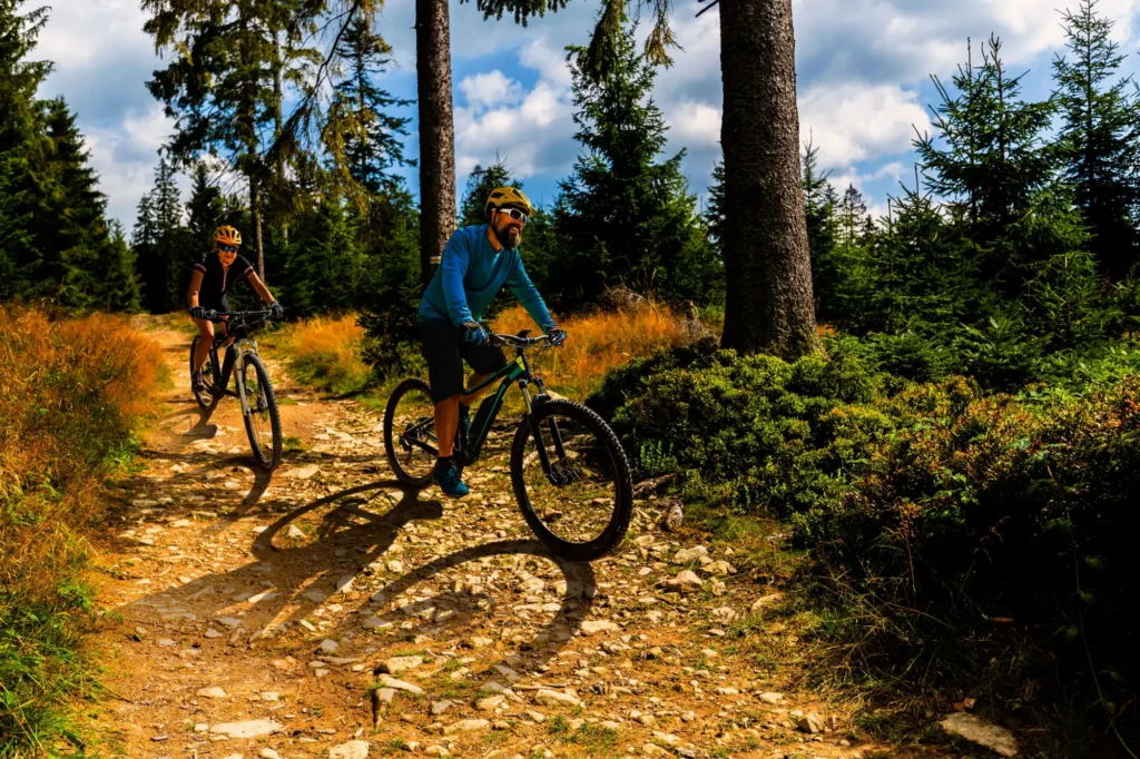 Shutterstock_1800648490 - SportDeník Cyklisté na lesní stezce