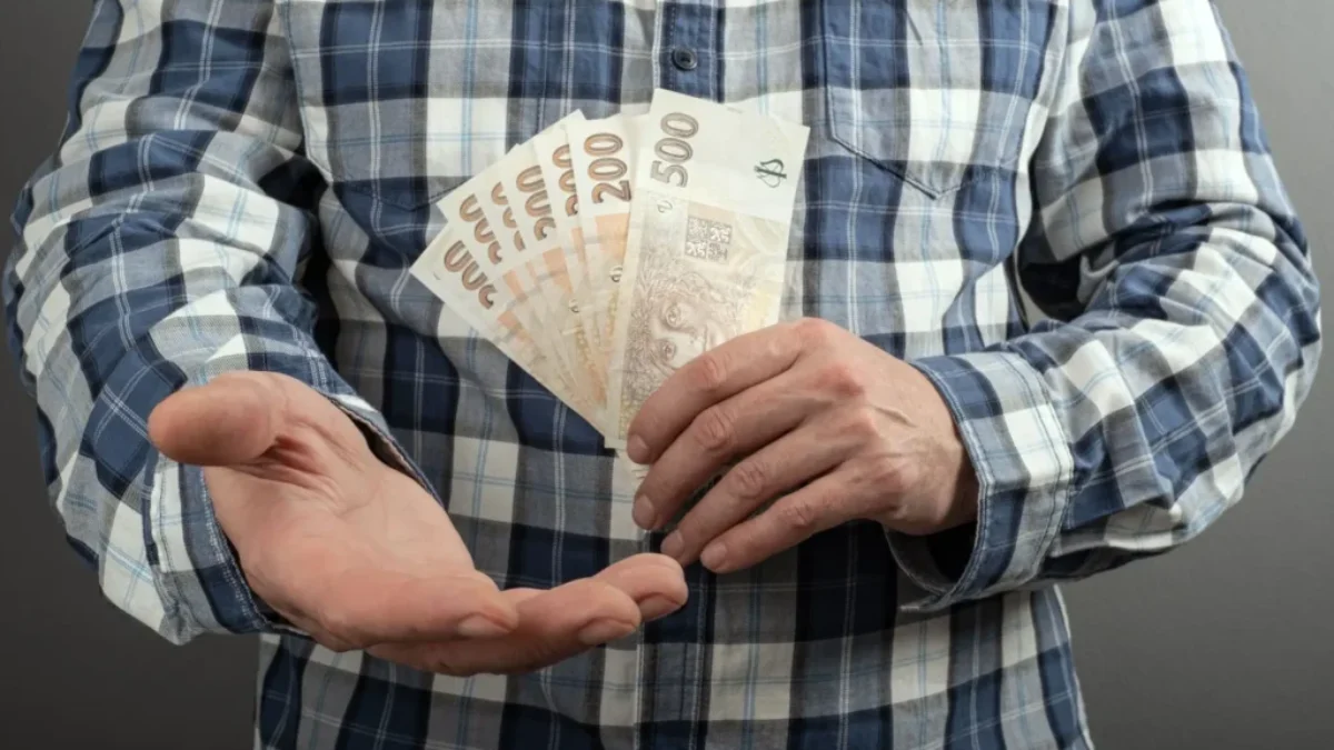 Muž s českými bankovkami