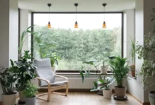 obývací pokoj plný rostlin