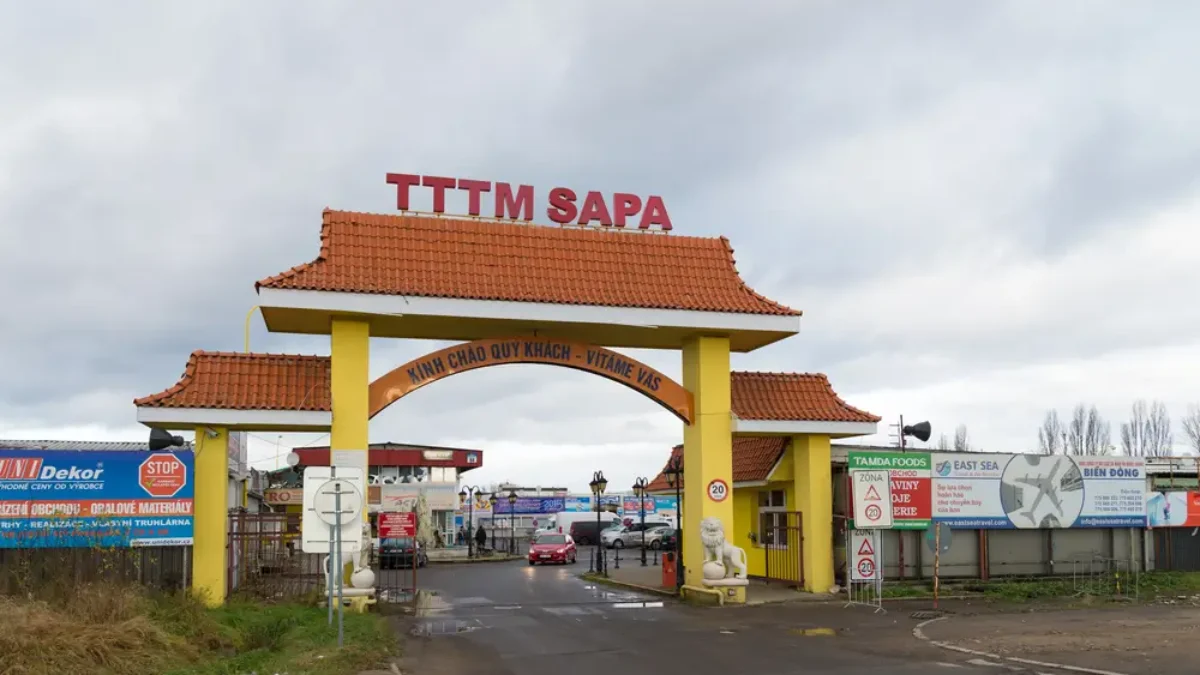 Sapa