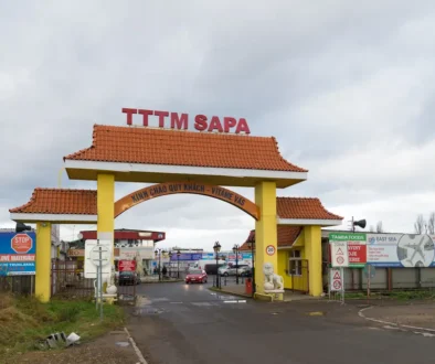 Sapa