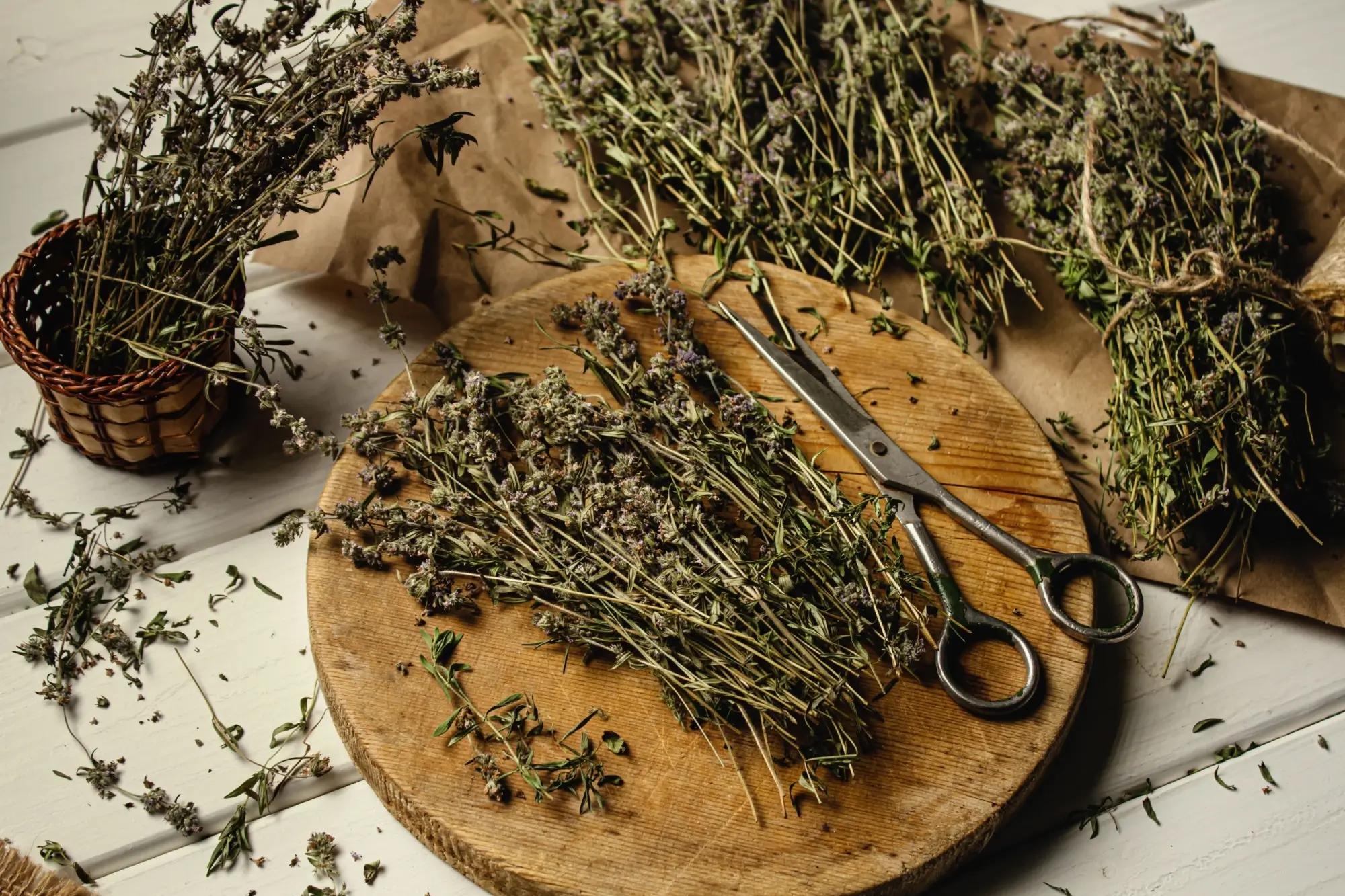 Shutterstock_2642646573 - SportDeník Tymián