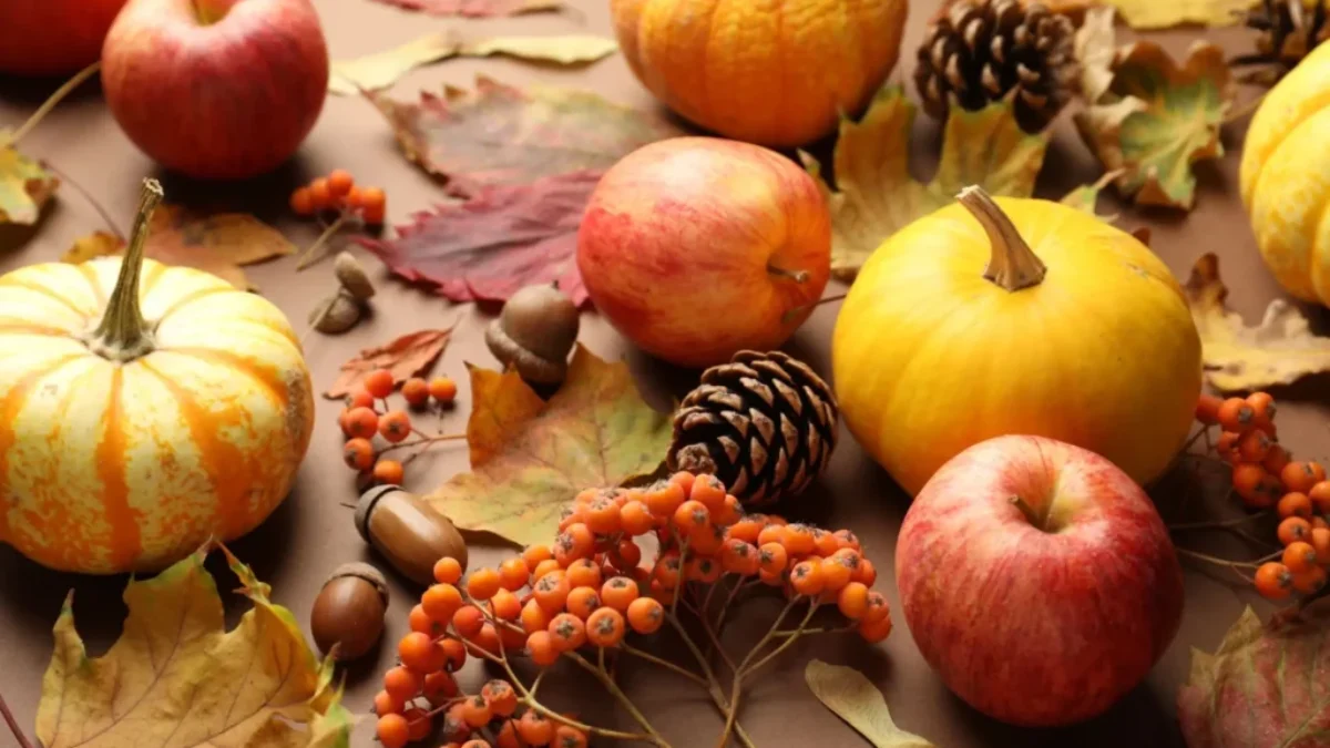 Drobné bobuloviny ze zahrádky tělo dokážou pročistit lépe než "zázračné" doplňky z lékárny. Zdroj plody ze zahrádky