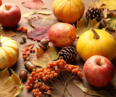 Drobné bobuloviny ze zahrádky tělo dokážou pročistit lépe než "zázračné" doplňky z lékárny. Zdroj plody ze zahrádky