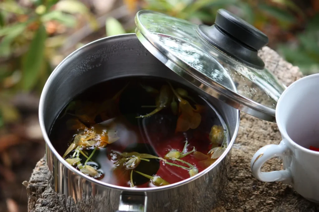 shutterstock_2042369351 - SportDeník čaj z lichořeřišnice v hrnci