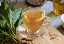 čaj z kořene pampelišky