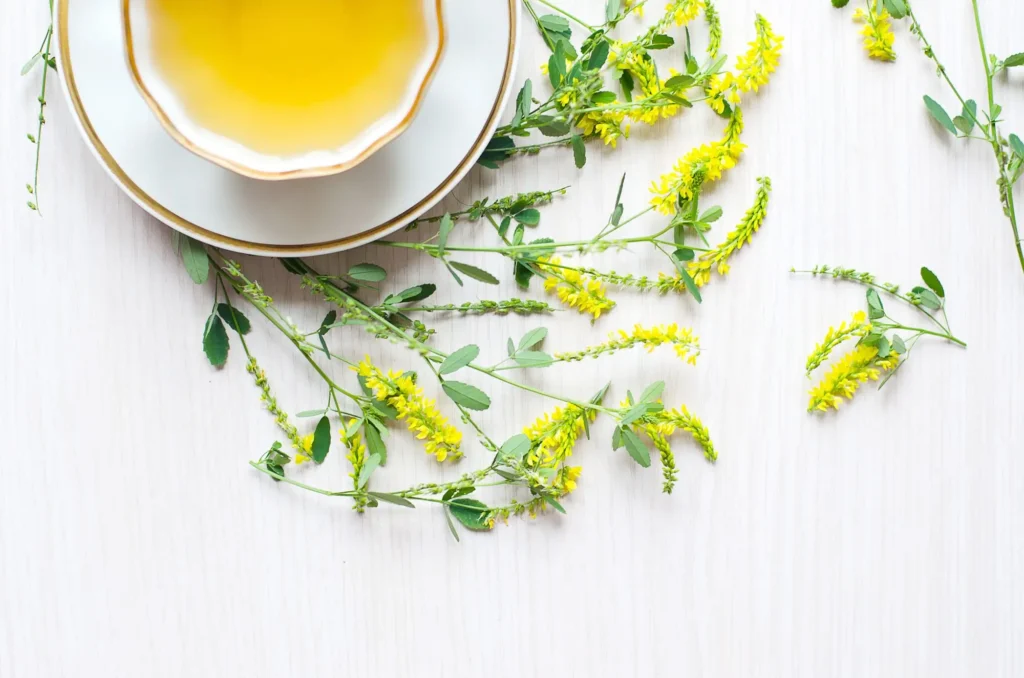 shutterstock_570743782 - SportDeník čaj z komonice lékařské