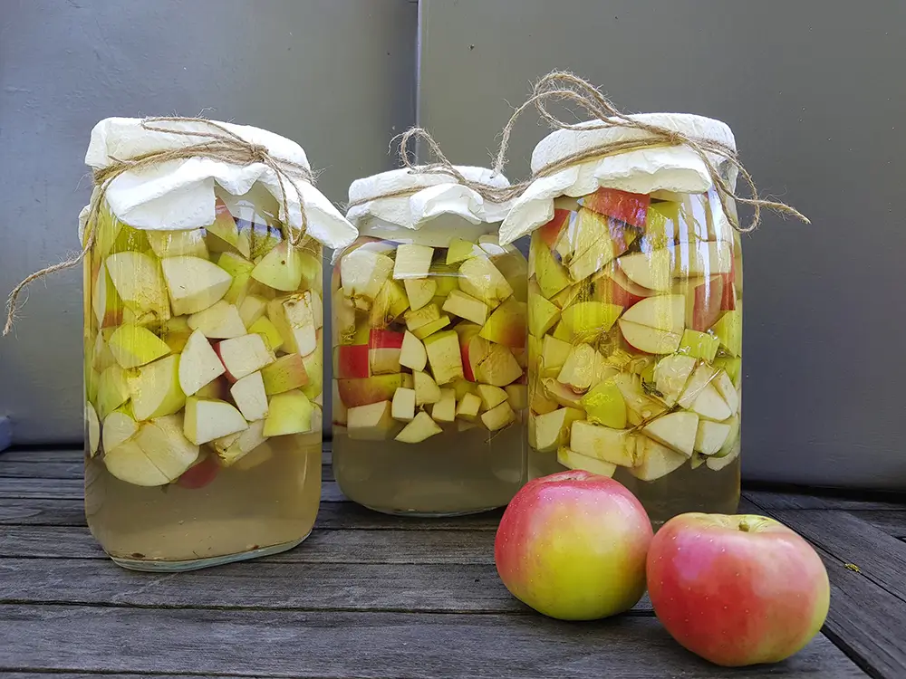 Ocet si můžete vyrobit i sami doma. - SportDeník domácí výroba jablečného octa